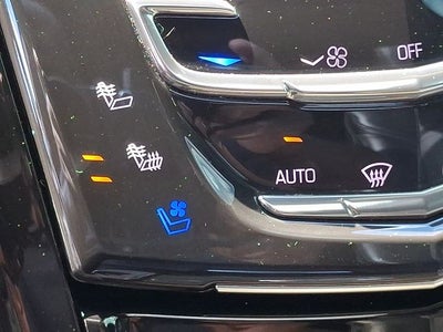 2020 Cadillac Escalade Platinum Edition