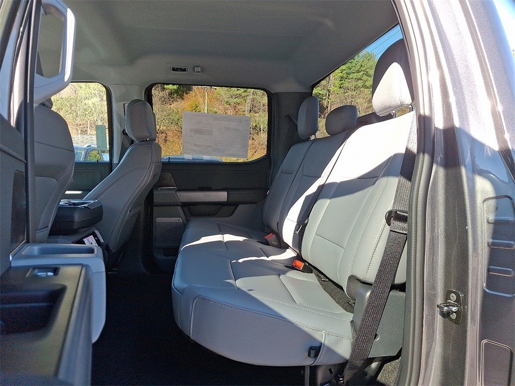 2025 Ford F-150 Lightning Flash™