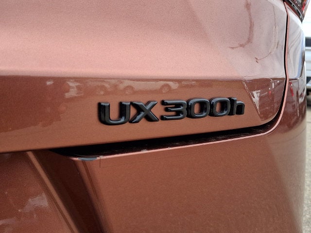 2025 Lexus UX 300h
