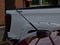 2015 Ford Fusion S