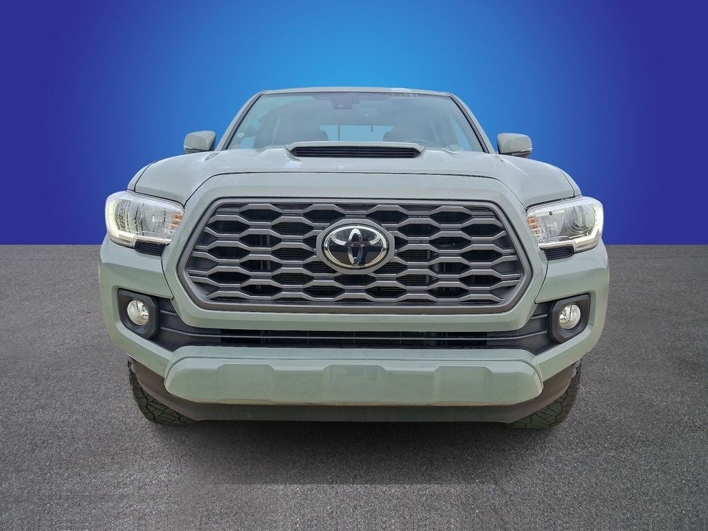 2023 Toyota Tacoma V6